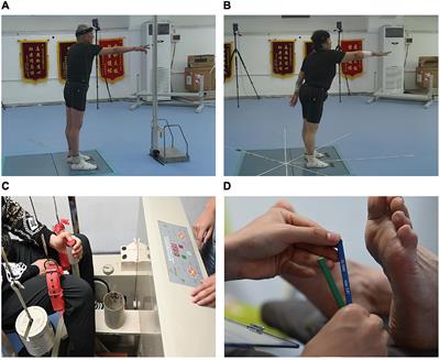 Exploring the effects of peripheral sensibility on visuospatial and postural capacities during goal-directed movements in long-term Tai Chi practitioners